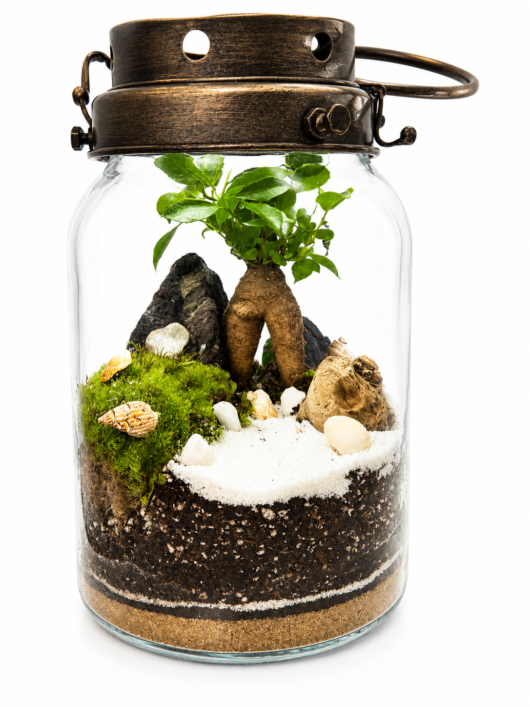 Terrarium tropical lanterne