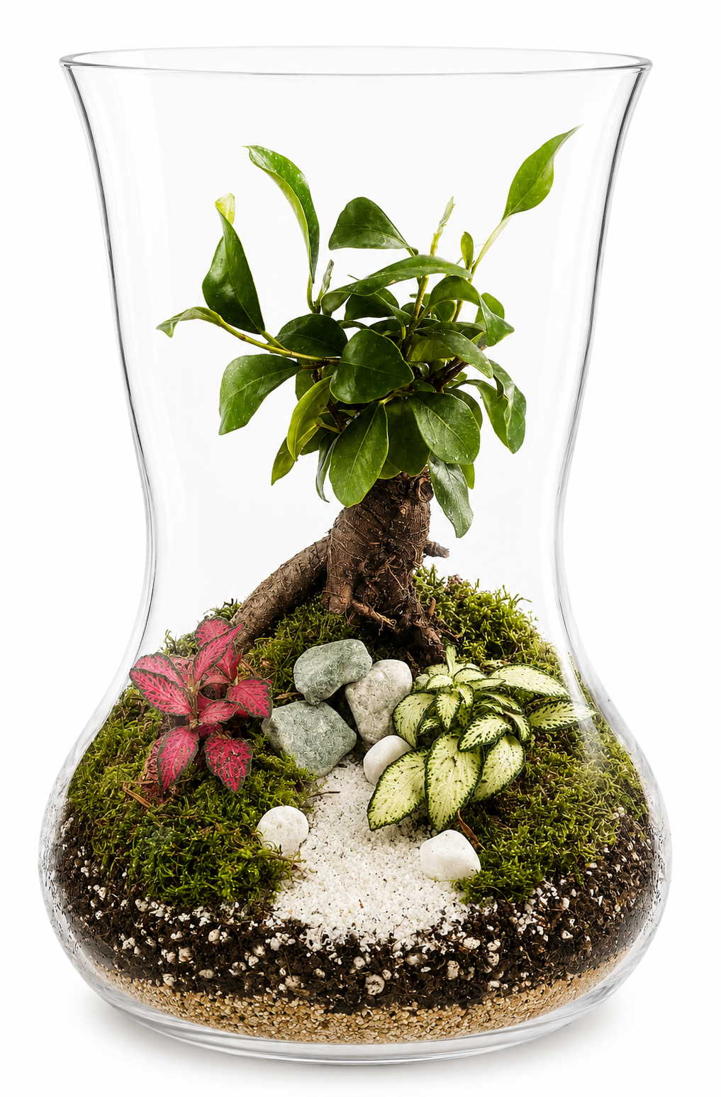 Terrarium Tropical Jardin japonais