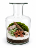 Terrarium tropical Élégance naturelle